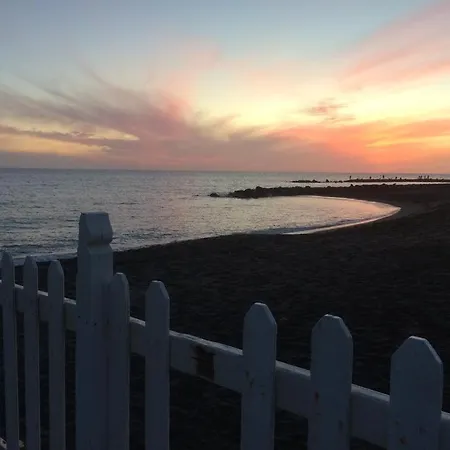 Nottola לדיספולי