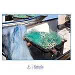 Bed & Breakfast Nottola Ladispoli