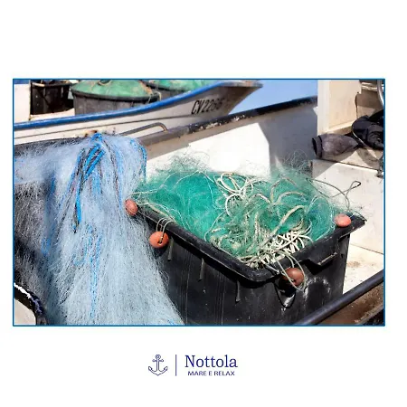 Nocleg ze śniadaniem Nottola Ladispoli