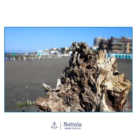 Nottola