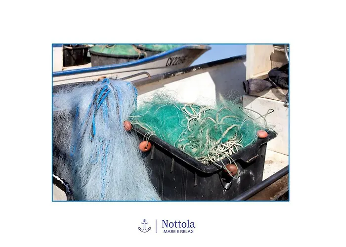 Alojamento de Acomodação e Pequeno-almoço Nottola Ladispoli